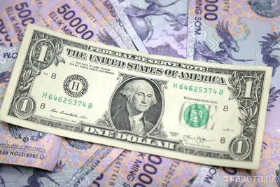 Интересные факты про доллар США - Информация о США | Соединенные Штаты  Америки