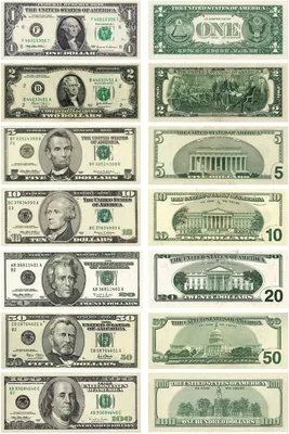 Бесплатное изображение: Эндрю Джексон, 20-долларовая купюра США, 20 долларов,  история, лицо, президент, финансы, бумага, деньги, валюта