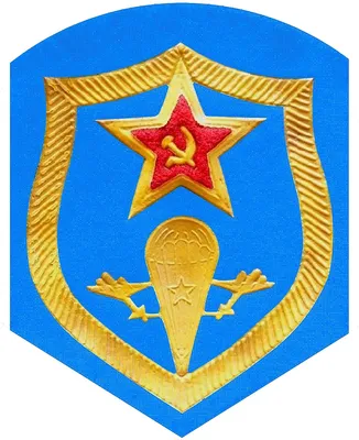 103 дивизия 317 парашютно-десантный полк г.витебск 2024 | ВКонтакте