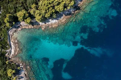 Моря Италии: фламинго и акулы, вулканы и горячие ветра сирокко — Яндекс  Путешествия