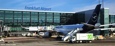 Frankfurt Airport Meet and Greet Service