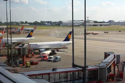 Инцидент в аэропорту Гамбурга - мужчину задержали 5 ноября | РБК Украина