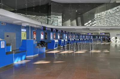 В аэропорту «Минск» теперь можно поспать между рейсами в деревянном домике  - KP.RU