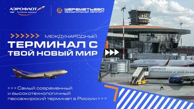 Столичные аэропорты Внуково и Шереметьево временно не работают
