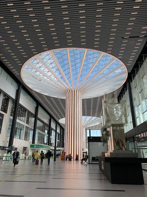 В Новосибирске в феврале откроют новый терминал аэропорта Толмачево