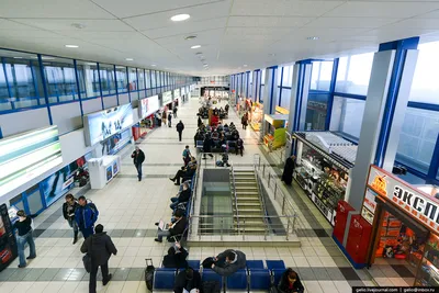 https://tiflocentre.ru/news/aeroport-novosibirsk.php