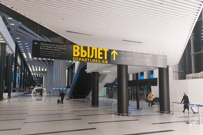 Главный архитектор Москвы назвал новосибирский аэропорт самым красивым в  стране - SibMedia.ru