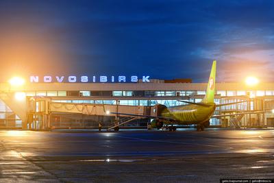 В Новосибирске запустили новый терминал аэропорта Толмачево | Sobaka.ru