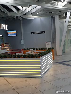 ВИП-залы в Толмачево - заказать VIP-зал в аэропорту Новосибирска
