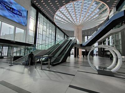 На реконструкцию аэропорта Толмачево в Новосибирске выделят 708 млн рублей  – SibRu.com