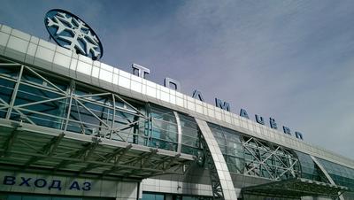 Новый терминал Толмачево построят до конца года. Каким он будет :: Город ::  РБК Недвижимость