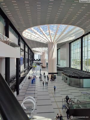 В Толмачёво начали строить новый терминал по проекту главного архитектора  Москвы - 1 октября 2020 - НГС.ру