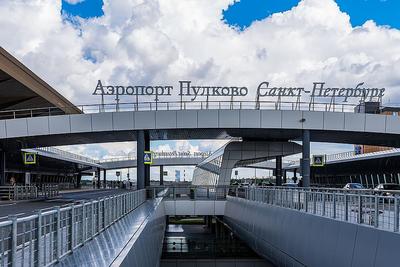 В Петербурге поменяли правила землепользования и застройки ради аэропорта -  AEX.RU