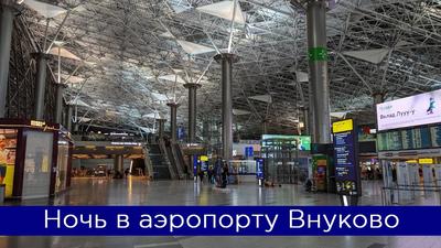 Как выглядит «Внуково» — первая станция метро в аэропорту — РБК