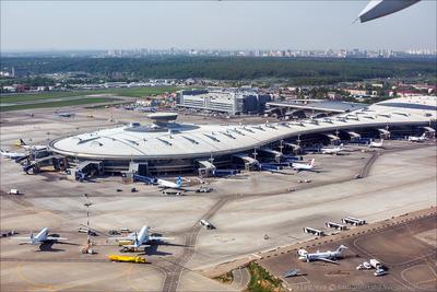 Схема и расположение терминалов Внуково | Авианити