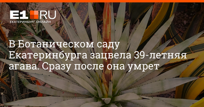 Кухня Агава Белый/Аква на 1600 купить в Екатеринбурге по низкой цене