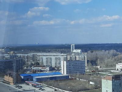 Лаврентьев бы не одобрил: мэр Новосибирска отверг желание Академгородка  стать самостоятельным