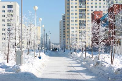 Екатеринбург — Строительство трамвайной линии в Академический район — Фото  — Городской электротранспорт