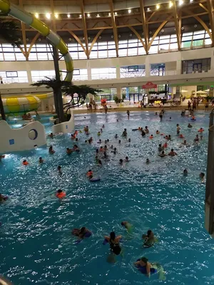 Застройщик аквапарка в Новосибирске получил иск о банкротстве