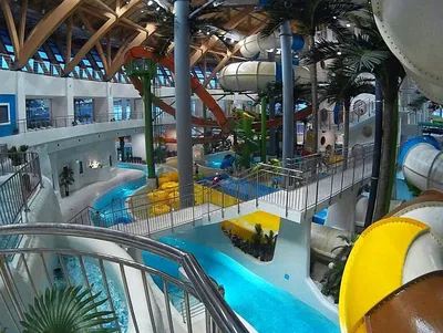 Структура застройщика аквапарка в Новосибирске объявлена банкротом |  НДН.Инфо