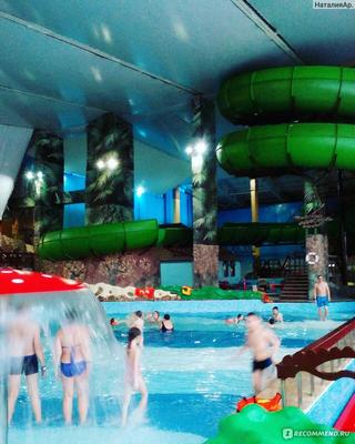 ТОП 5 лучших аквапарков в Москве 2024 - адреса и цены, список и рейтинг  популярности