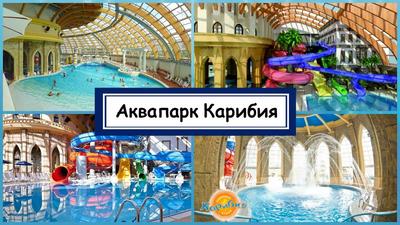 Аквапарк “Карибия” в Москве: фото, цены, отзывы, как добраться