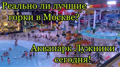 Аквакомплекс Лужники, аквапарк, ул. Лужники, 24, стр. 4, Москва — Яндекс  Карты