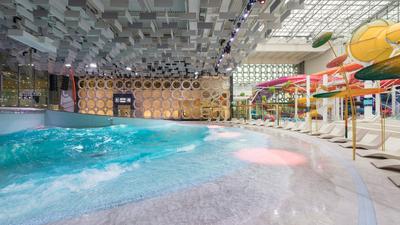 Лучшие аквапарки в Москве: ТОП-5 для взрослых и детей