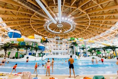 Аквапарк «Аквамир» в Новосибирске могут выставить на продажу за 3,2 млрд  рублей