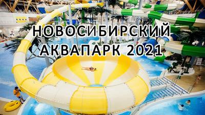 Новосибирский аквапарк выставлен на продажу: его можно купить за полцены -  МК Новосибирск