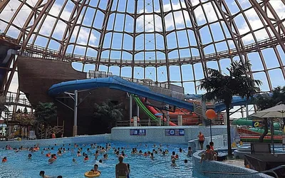 Аквапарк Питерлэнд в СПб ⚜ идеальное место для семейного отдыха