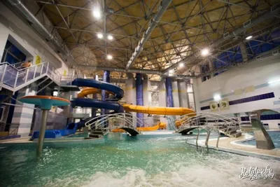 Бесплатные занятия в фитнес-зале и тренировки по плаванию: что подготовил  аквапарк в Кобрине на День открытых дверей