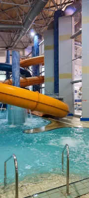 В областном Дворце творчества детей и молодежи открыли обновленный бассейн  — кто там может плавать и сколько это стоит — Вечерний Гродно
