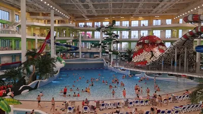Открыть аквапарк «Океанис» в Нижнем Новгороде планируют в первом полугодии