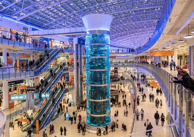 Самый высокий цилиндрический аквариум в мире, Москва: лучшие советы перед  посещением - Tripadvisor