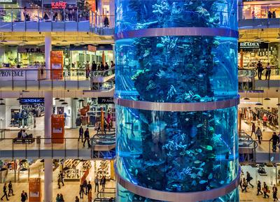 Всё о Москве - Аквариум торгового центра #Авиапарк – самый высокий  цилиндрический аквариум в мире. Высота его колбы – 20,31 метра. #всеомоскве  #москва #аквариум #этоинтересно #факт #рекордгиннесса | Facebook