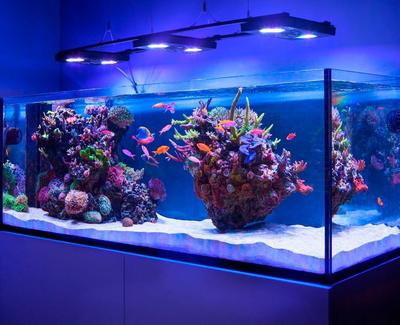 В Москве потек самый большой в Восточной Европе аквариум с рыбами — новости  — Magicwaters