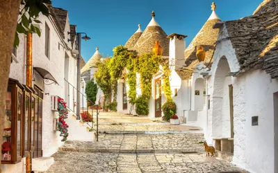15 Best Things To Do in Alberobello, Italy - Goats On The Road
