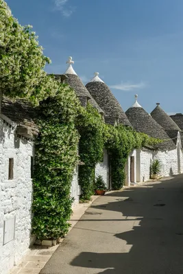 17 BEST Things to Do in Alberobello Italy 2024