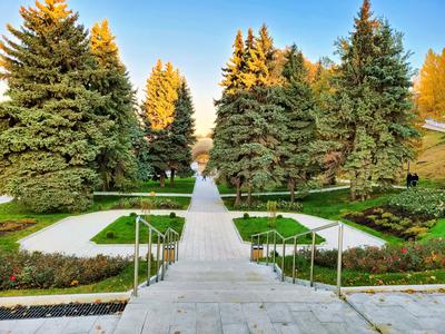 Александровский сад в Нижнем Новгороде к середине мая благоустроили  наполовину – Нижний сейчас