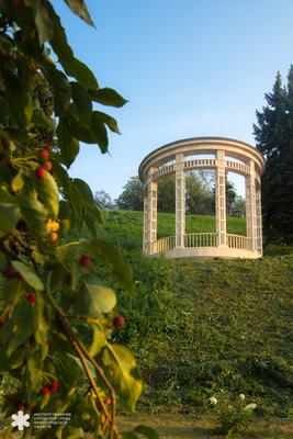 В Александровском саду начинаются работы по благоустройству к 800-летию  Нижнего Новгорода