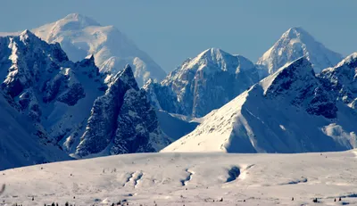 10 BEST Alaska Northern Lights Tours in 2024 - Sea to Summit Alaska