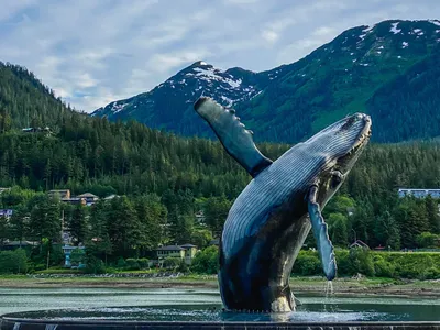 What to See in Alaska - Civitatis