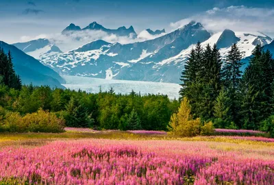 All the New Ways to Explore Alaska this Summer | Condé Nast Traveler