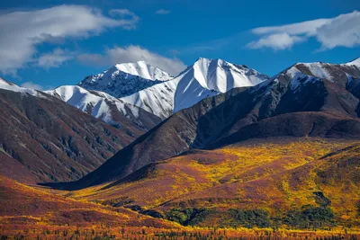 Alaska Photography Gallery | Alaska Landscape Photos | Photos by Joseph C.  Filer