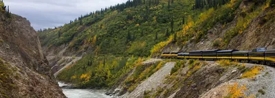 Alaska Train Vacation Packages | Alaska Tours by Rail