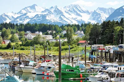 Homer, Alaska: Experience the Charm of Kachemak Bay's Seaside Town