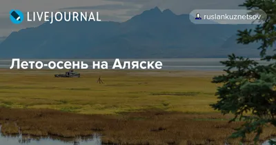 Лето в горах Kenai в Аляске Стоковое Изображение - изображение  насчитывающей горы, мирно: 96473223