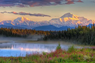 How To Spend Summer In Alaska For FREE