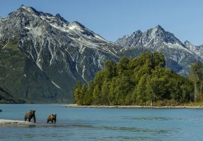 Прекрасное лето на Аляске. Смотреть бесплатно HD фотографии красивых  природных пейзажей для мобильного устройства.